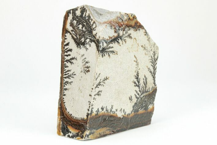 Dendrites On Limestone - Utah #207810